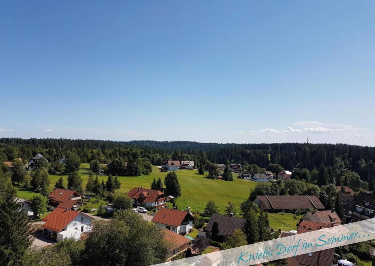 Fewo Nationalpark Schwarzwald Freudenstadt Exterior photo