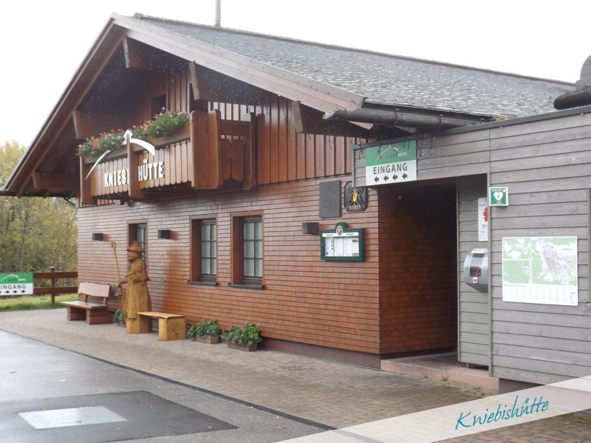 Fewo Nationalpark Schwarzwald Freudenstadt Exterior photo