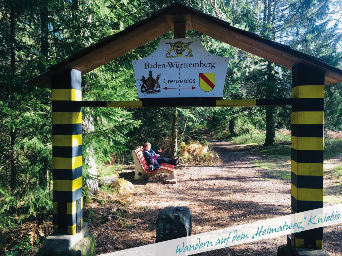 Fewo Nationalpark Schwarzwald Freudenstadt Exterior photo