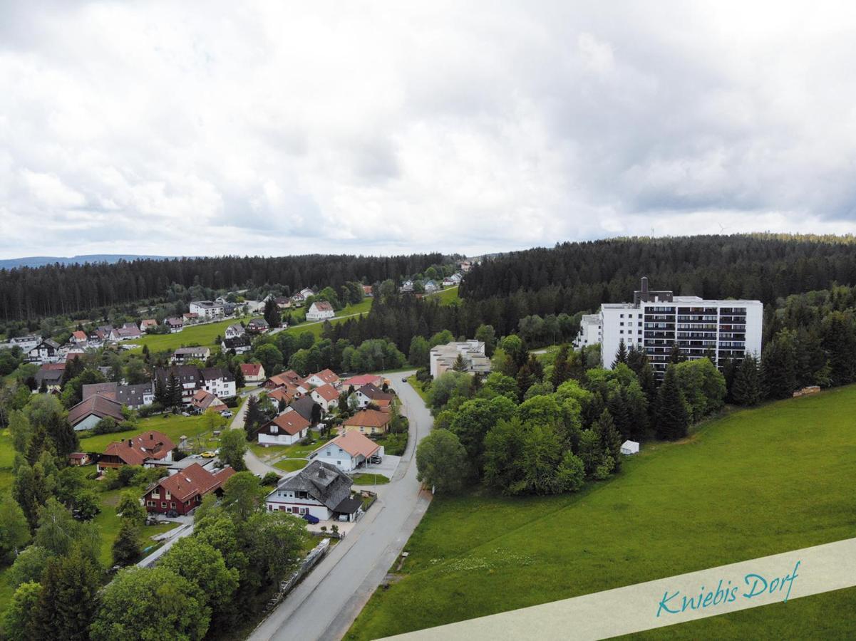 Fewo Nationalpark Schwarzwald Freudenstadt Exterior photo